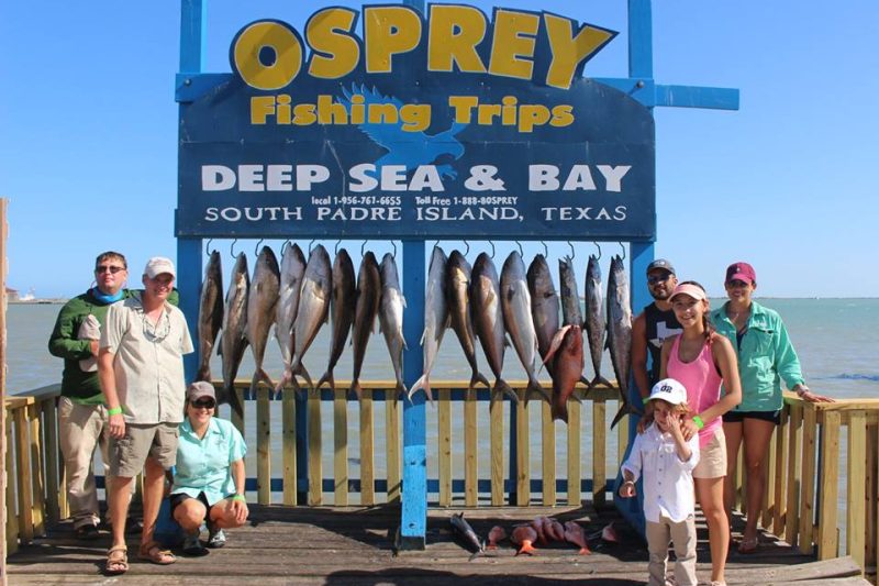 Osprey Sport Fishing Charters